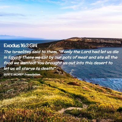 Picture 02 - Exodus 16:3 GW - The Israelites said to them, “If only the Lord - Bible Verse Picture