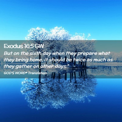 Picture 02 - Exodus 16:5 GW - But on the sixth day when they prepare what they - Bible Verse Picture