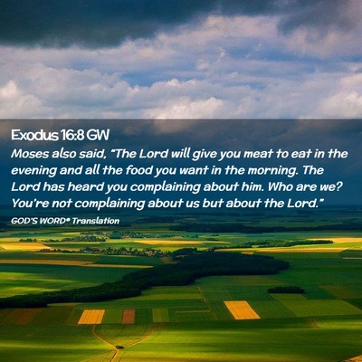Picture 02 - Exodus 16:8 GW - Moses also said, “The Lord will give you meat - Bible Verse Picture