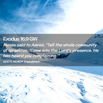 Picture 02 - Exodus 16:9 GW - Moses said to Aaron, “Tell the whole community - Bible Verse Picture