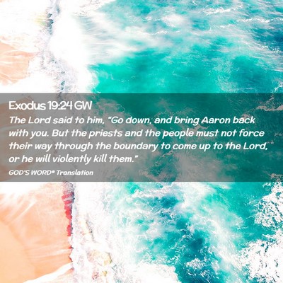 Picture 02 - Exodus 19:24 GW - The Lord said to him, “Go down, and bring Aaron - Bible Verse Picture