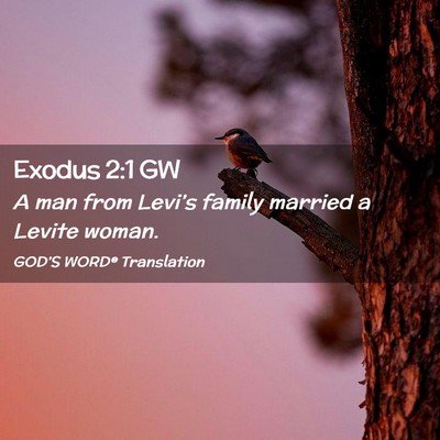 Picture 02 - Exodus 2:1 GW - A man from Levi’s family married a Levite - Bible Verse Picture
