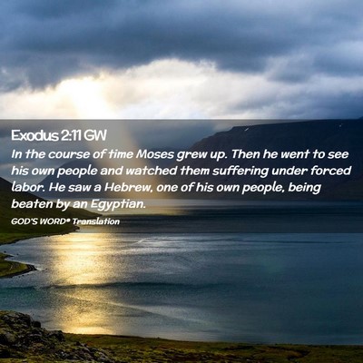 Picture 02 - Exodus 2:11 GW - In the course of time Moses grew up. Then he went - Bible Verse Picture