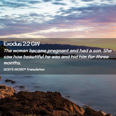 Picture 02 - Exodus 2:2 GW - The woman became pregnant and had a son. She saw - Bible Verse Picture