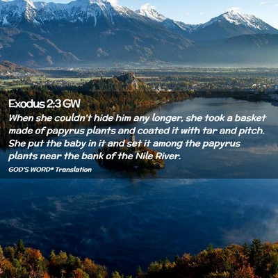 Picture 02 - Exodus 2:3 GW - When she couldn’t hide him any longer, she took - Bible Verse Picture