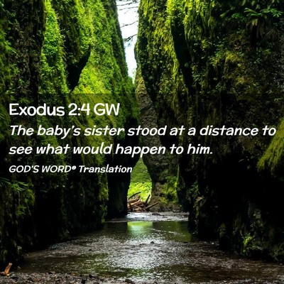 Picture 02 - Exodus 2:4 GW - The baby’s sister stood at a distance to see - Bible Verse Picture