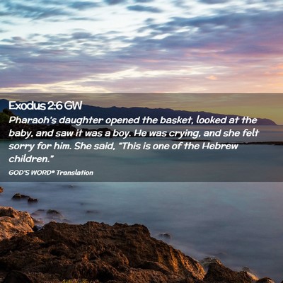 Picture 02 - Exodus 2:6 GW - Pharaoh’s daughter opened the basket, looked at - Bible Verse Picture