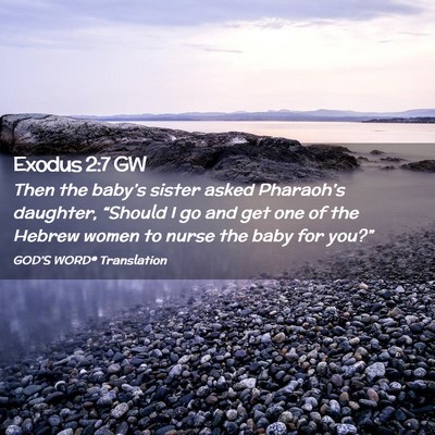 Picture 02 - Exodus 2:7 GW - Then the baby’s sister asked Pharaoh’s - Bible Verse Picture