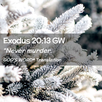 Picture 02 - Exodus 20:13 GW - “Never - Bible Verse Picture