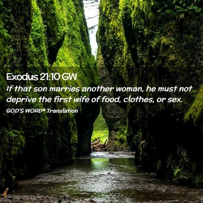 Picture 02 - Exodus 21:10 GW - If that son marries another woman, he must not - Bible Verse Picture