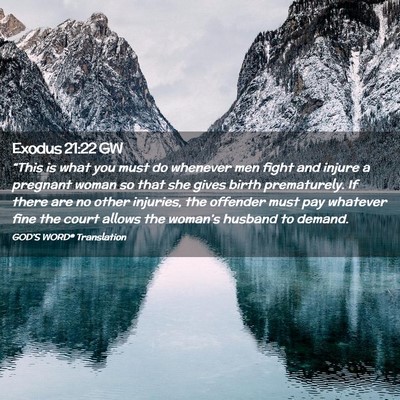 Picture 02 - Exodus 21:22 GW - “This is what you must do whenever men fight - Bible Verse Picture