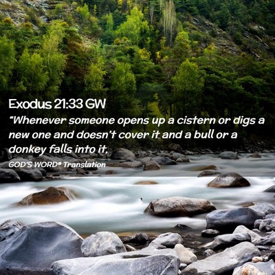 Picture 02 - Exodus 21:33 GW - “Whenever someone opens up a cistern or digs a - Bible Verse Picture
