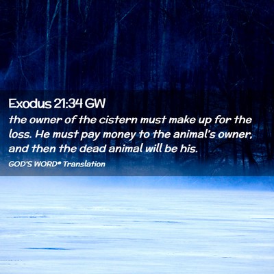 Picture 02 - Exodus 21:34 GW - the owner of the cistern must make up for the - Bible Verse Picture
