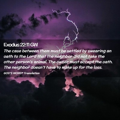Picture 02 - Exodus 22:11 GW - The case between them must be settled by swearing - Bible Verse Picture