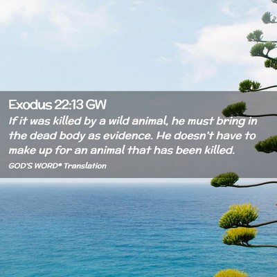 Picture 02 - Exodus 22:13 GW - If it was killed by a wild animal, he must bring - Bible Verse Picture