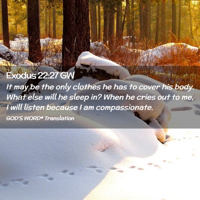 Picture 02 - Exodus 22:27 GW - It may be the only clothes he has to cover his - Bible Verse Picture