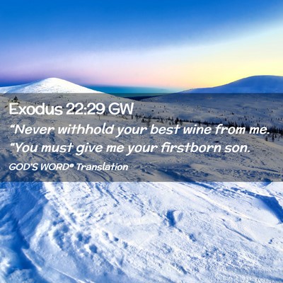 Picture 02 - Exodus 22:29 GW - “Never withhold your best wine from me. “You - Bible Verse Picture