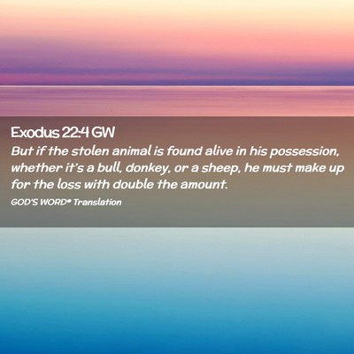 Picture 02 - Exodus 22:4 GW - But if the stolen animal is found alive in his - Bible Verse Picture