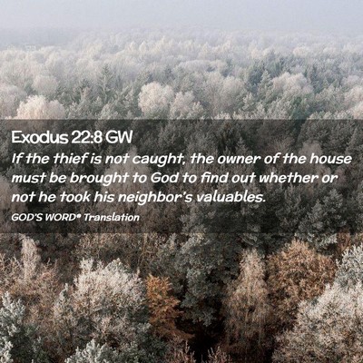 Picture 02 - Exodus 22:8 GW - If the thief is not caught, the owner of the - Bible Verse Picture