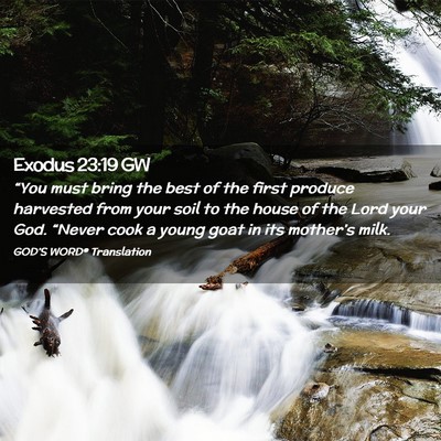 Picture 02 - Exodus 23:19 GW - “You must bring the best of the first produce - Bible Verse Picture
