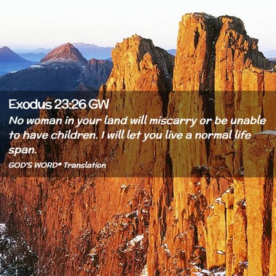 Picture 02 - Exodus 23:26 GW - No woman in your land will miscarry or be unable - Bible Verse Picture