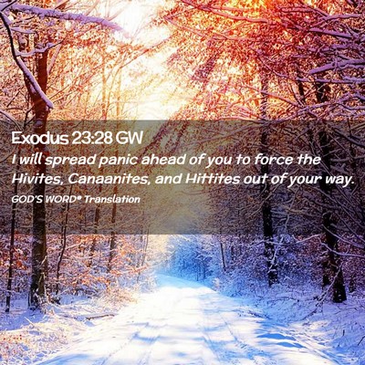 Picture 02 - Exodus 23:28 GW - I will spread panic ahead of you to force the - Bible Verse Picture
