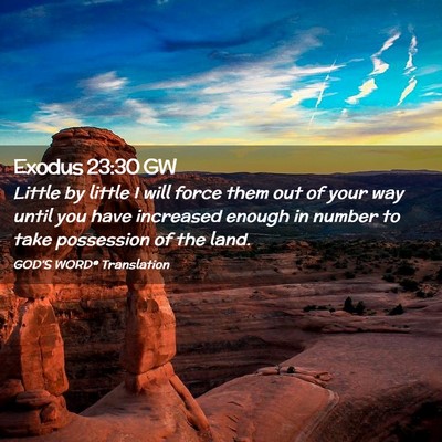 Picture 02 - Exodus 23:30 GW - Little by little I will force them out of your - Bible Verse Picture