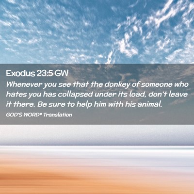 Picture 02 - Exodus 23:5 GW - Whenever you see that the donkey of someone who - Bible Verse Picture