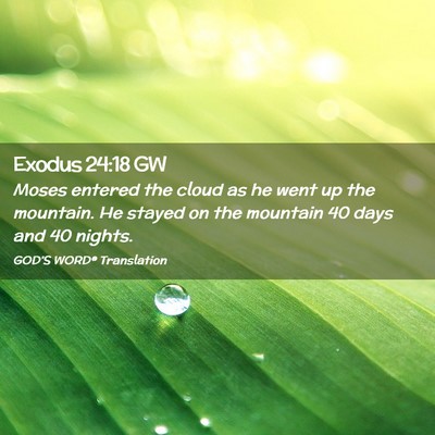 Picture 02 - Exodus 24:18 GW - Moses entered the cloud as he went up the - Bible Verse Picture