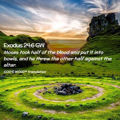 Picture 02 - Exodus 24:6 GW - Moses took half of the blood and put it into - Bible Verse Picture