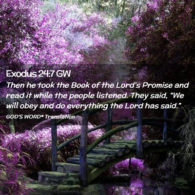 Picture 02 - Exodus 24:7 GW - Then he took the Book of the Lord’s Promise and - Bible Verse Picture