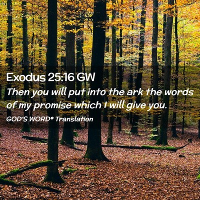 Picture 02 - Exodus 25:16 GW - Then you will put into the ark the words of my - Bible Verse Picture