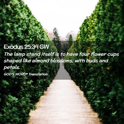 Picture 02 - Exodus 25:34 GW - The lamp stand itself is to have four flower cups - Bible Verse Picture