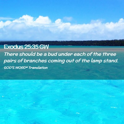Picture 02 - Exodus 25:35 GW - There should be a bud under each of the three - Bible Verse Picture