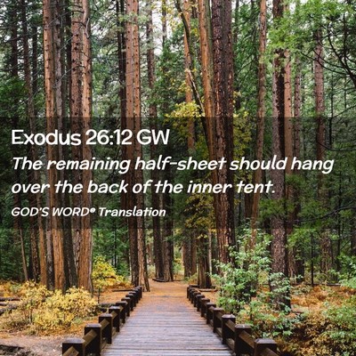 Picture 02 - Exodus 26:12 GW - The remaining half-sheet should hang over the - Bible Verse Picture