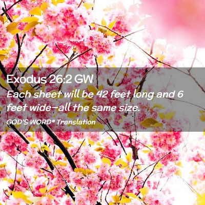 Picture 02 - Exodus 26:2 GW - Each sheet will be 42 feet long and 6 feet - Bible Verse Picture