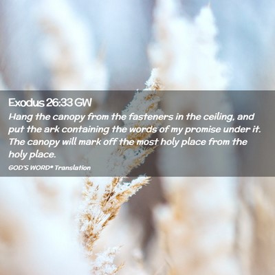 Picture 02 - Exodus 26:33 GW - Hang the canopy from the fasteners in the - Bible Verse Picture
