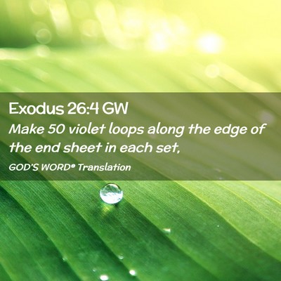 Picture 02 - Exodus 26:4 GW - Make 50 violet loops along the edge of the end - Bible Verse Picture