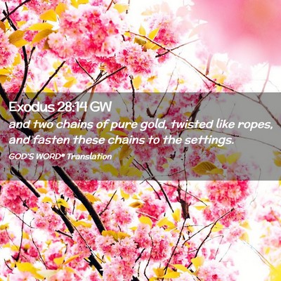 Picture 02 - Exodus 28:14 GW - and two chains of pure gold, twisted like ropes, - Bible Verse Picture