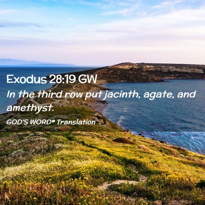 Picture 02 - Exodus 28:19 GW - In the third row put jacinth, agate, and - Bible Verse Picture