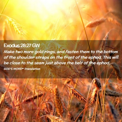 Picture 02 - Exodus 28:27 GW - Make two more gold rings, and fasten them to the - Bible Verse Picture