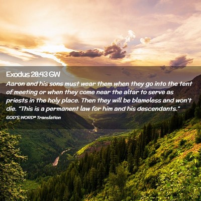 Picture 02 - Exodus 28:43 GW - Aaron and his sons must wear them when they go - Bible Verse Picture
