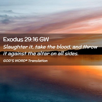 Picture 02 - Exodus 29:16 GW - Slaughter it, take the blood, and throw it - Bible Verse Picture