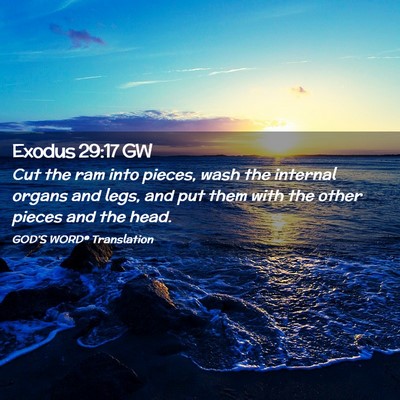 Picture 02 - Exodus 29:17 GW - Cut the ram into pieces, wash the internal organs - Bible Verse Picture
