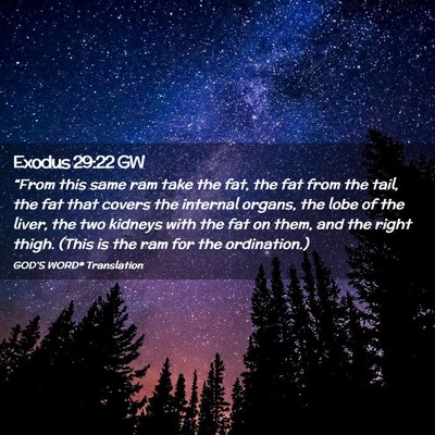 Picture 02 - Exodus 29:22 GW - “From this same ram take the fat, the fat from - Bible Verse Picture