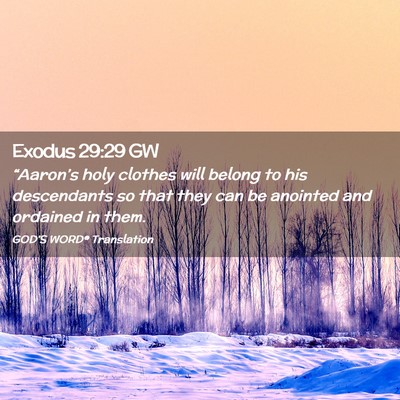 Picture 02 - Exodus 29:29 GW - “Aaron’s holy clothes will belong to his - Bible Verse Picture