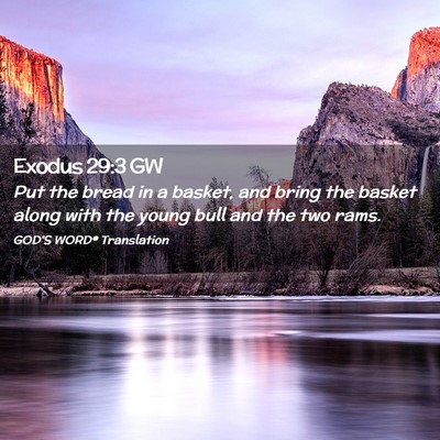 Picture 02 - Exodus 29:3 GW - Put the bread in a basket, and bring the basket - Bible Verse Picture