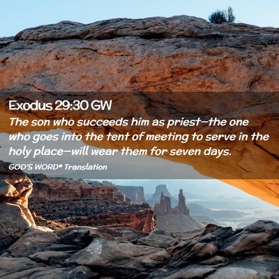 Picture 02 - Exodus 29:30 GW - The son who succeeds him as priest—the one who - Bible Verse Picture