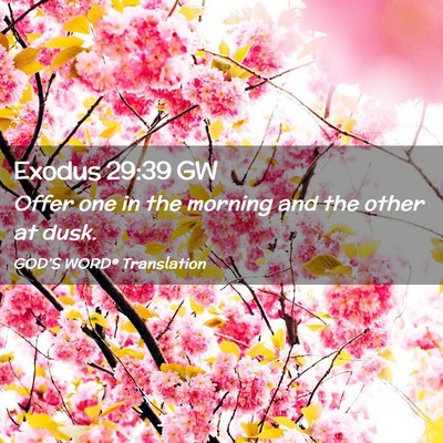 Picture 02 - Exodus 29:39 GW - Offer one in the morning and the other at - Bible Verse Picture