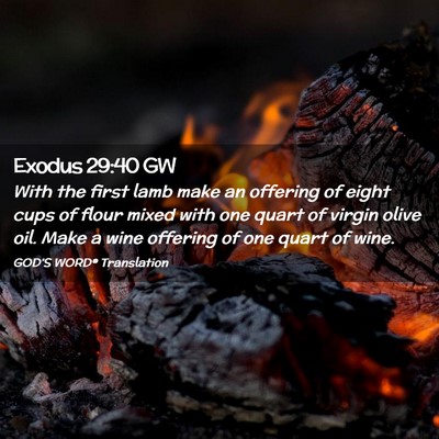 Picture 02 - Exodus 29:40 GW - With the first lamb make an offering of eight - Bible Verse Picture